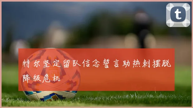 特尔坚定留队信念誓言助热刺摆脱降级危机
