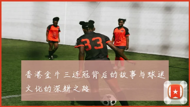 香港金牛三连冠背后的故事与球迷文化的深耕之路