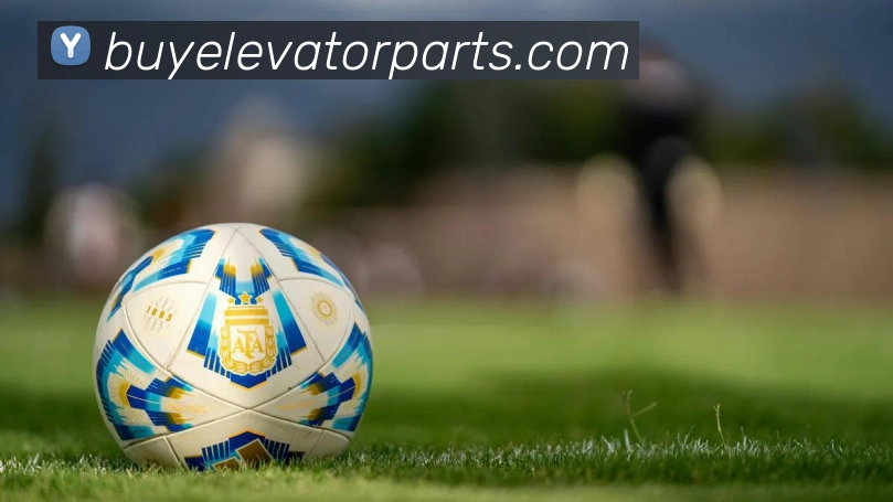 开云APP 高清赛事图